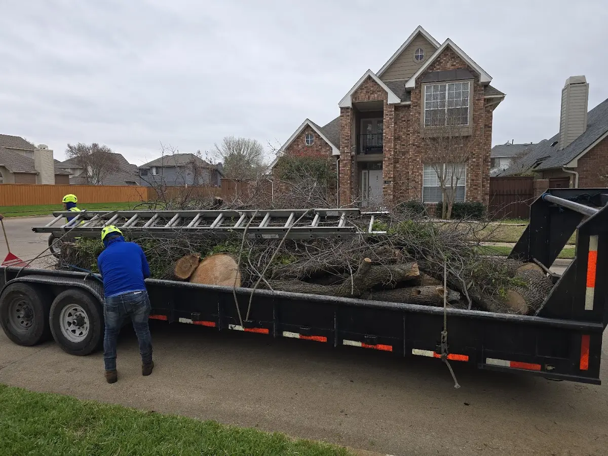 Expert Crown Reduction with proper safety equipment in Van Buren